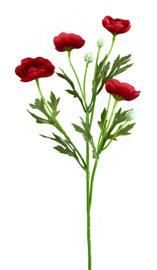 A 21 Red Ranunculus Spray with green stems and leaves is displayed against a vibrant abstract background featuring splashes of pink, yellow, and green.