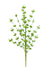 The 30 Green Filler Spray 63479GN is elegantly displayed against a solid black background, featuring multiple stems with alternately arranged round, vibrant green leaves.