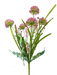 A digital artwork features a 20 Hot Pink Sedum Bush 63498BT in the foreground, set against vibrant abstract swirls of black, yellow, red, and blue. The hot pink flowers strikingly contrast with the colorful background.