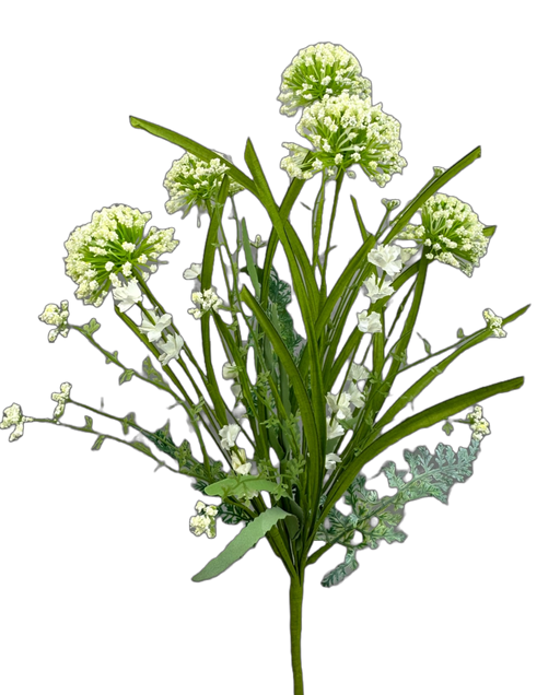 The 20 Cream Sedum Bush 63498CM showcases delicate cream Sedum flowers blooming on slender green stems against a black backdrop. Small bunches of blooms with elongated leaves create a contrast, resulting in an arrangement that is both minimalistic and sophisticated.
