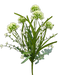The 20 Cream Sedum Bush 63498CM showcases delicate cream Sedum flowers blooming on slender green stems against a black backdrop. Small bunches of blooms with elongated leaves create a contrast, resulting in an arrangement that is both minimalistic and sophisticated.