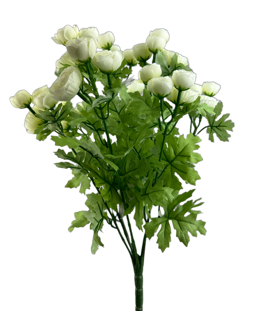 The 17 Cream Mini Ranunculus Bush with 9 Stems (63514CM) features cream flowers and lush green leaves, set against a plain background.