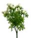 The 17 Cream Mini Ranunculus Bush with 9 Stems (63514CM) features cream flowers and lush green leaves, set against a plain background.