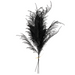 A 28-inch Phoenix Tail Fern with black ornamental grasses and feathery textures is elegantly bound at the stems with a light-colored tie, fanning out delicate leaves against a white background.