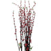 The 35 Red Plastic Spray (Part No. 83670-RD) features tall, thin branches adorned with small red flowers and a few green leaves, standing elegantly against a white background to add vibrant decor.