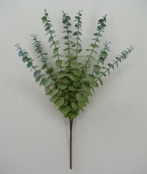 The 21 Eucalyptus Bundle (code 84028) showcases eight stems with green leaves arranged in a fanned-out pattern against a light background.