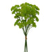 The 17 Green Sedium Bundle with 5 Stems 84060-Gn is a cluster of textured green artificial flowers, perfect for any decor.