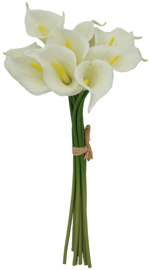 The 13 Nature Tough Calla Lily Cream 84088-CR features a bouquet of cream calla lilies with yellow centers, tied with a brown band. These elegant flowers have trumpet-shaped blooms and long green stems.