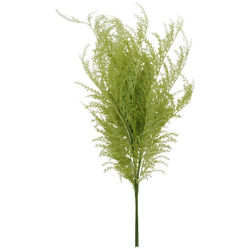 The 29 Apple Green Phoenix Tail Fern 84099-AppleGn features thin fern-like leaves in apple green on a slender stem, forming a bushy, vertical arrangement against a white backdrop.