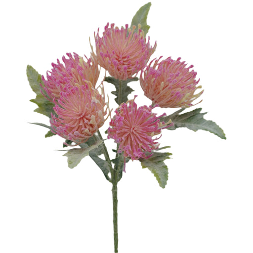 A 15 Thistle Bouquet, consisting of five stems in hot pink (Item #84236-BTY), features vibrant protea flowers with spiky petals that transition from hot pink to peach, complemented by green leaves against a plain light backdrop.