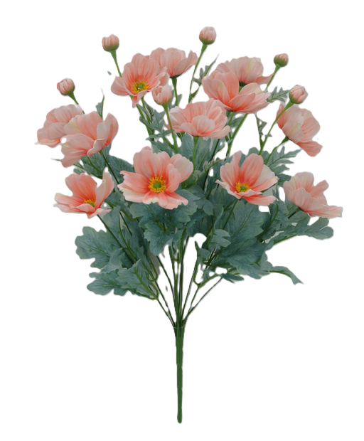 A 22 Cosmos Bush Peach, featuring peach and pink anemones with yellow centers, lush green leaves, and 12 stems of cosmos in a loose cluster.