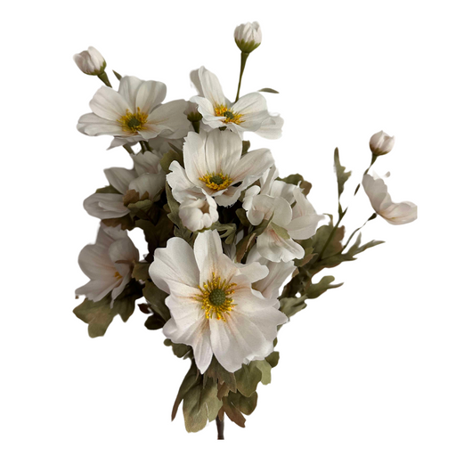 The 21 In Cosmos Bush X 11 (Product ID: 84566-Ivory) features an elegant arrangement of white flowers with yellow centers, surrounded by closed buds and lush green leaves, exuding natural beauty against a white background.