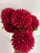 The 16-inch Mum Bush X 7 (84700-Rd) features vibrant red flowers with lush, layered petals. Against a plain white background, they highlight rich color and texture, while green leaves peek through for contrast.