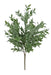 The 21 Long Green Ruscus with a 5 Stem Iced Bush 85254 features lush, dense foliage and multiple stems, shown against a plain white background.