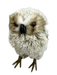 The 6 x 6 x 4 Brown Decor Owl (85860BN) is a plush, gray and white decorative owl with brown feet and a black beak, standing upright and facing forward with a slightly tilted head.