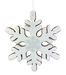 The 12 Diameter Brown and White Gingerbread Snowflake Ornament (86249BNWT) features a textured surface and subtle snowflake pattern, hanging by a thin string.