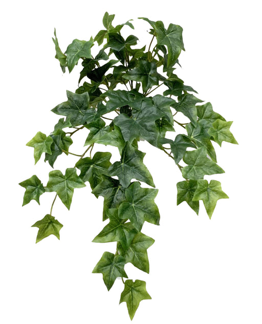 The 19 Sage Ivy Real Touch Hanging Bush E6621228HBS features pointed tips and a gradient of deep green to sage, with leaves cascading naturally for a vibrant, organic look against a white background.