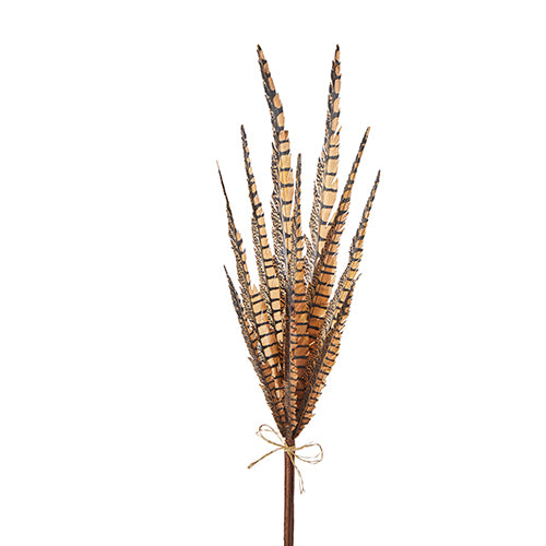 Introducing the 30" Feather Bundle F4202540, showcasing exquisite brown and black striped pheasant feathers, beautifully arranged and tied with a delicate bow against a clean white backdrop.