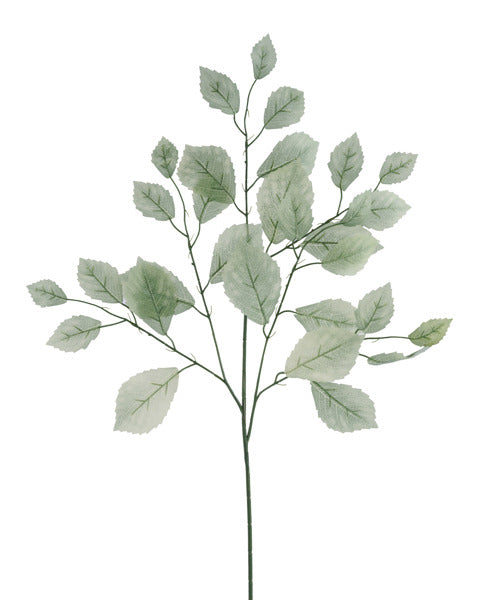 A bundle of 12, 28 long Sage Green Rose Leaf Sprays (FG663332), each with multiple thin stems and pale leaves, arranged sparsely against a plain white background.