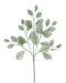 A bundle of 12, 28 long Sage Green Rose Leaf Sprays (FG663332), each with multiple thin stems and pale leaves, arranged sparsely against a plain white background.