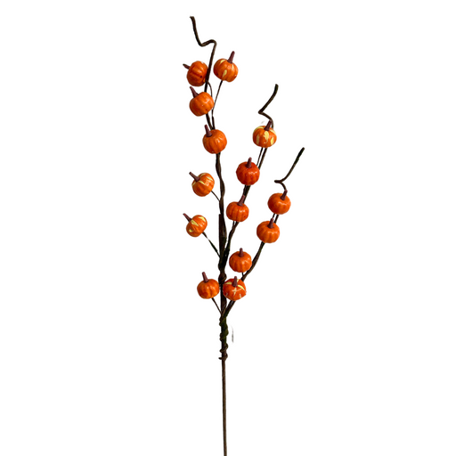 The 29" Mini Pumpkin Branch, with product code ISB67401, showcases a charming display of small, round orange pumpkins on slender, twisting stems. The pumpkins vary in size to enhance the festive and autumnal ambiance in any environment.