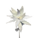 White Fancy Furry and Velvet Poinsettia ISB73811