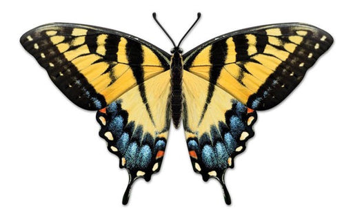 The 13.5 L Black Yellow Light Blue Metal Embossed Butterfly Sign (MD136390) features vibrant black and yellow wings accented with light blue spots, displayed open on a white background, showcasing its elegant symmetrical pattern.