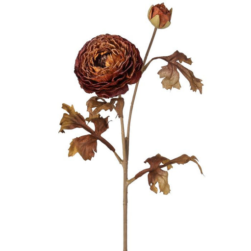 The 24 Cinnamon and Spice Autumn Ranunculus Stem (MTH13029C) has brown, layered petals with one open bloom, one bud, and dried, curled leaves in warm cinnamon tones—perfect for autumn décor.
