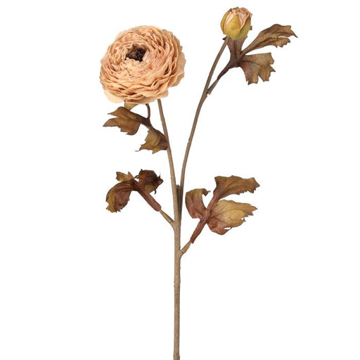 The 24 Taupe Autumn Ranunculus Stem MTH13029T features a fully bloomed taupe ranunculus, a smaller bud, and brownish-green leaves, perfect for autumn displays against a white background.