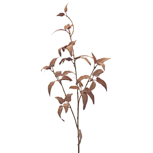 A single branch adorned with several slender, elongated brown leaves set against a plain white background evokes the delicate curve of a 37" Purple Lambs Ear Spray (PS1113S PUR), while subtle hints of purple enhance this tranquil arrangement.