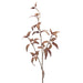 A single branch adorned with several slender, elongated brown leaves set against a plain white background evokes the delicate curve of a 37" Purple Lambs Ear Spray (PS1113S PUR), while subtle hints of purple enhance this tranquil arrangement.