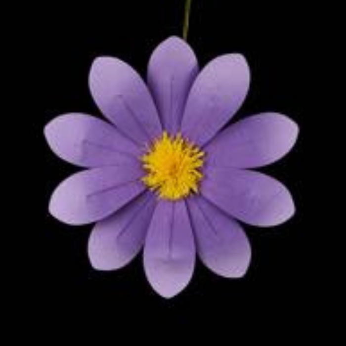 The 15.75 DIA Felt Flower (FJ519199) is available in 6 assorted colors, making a bold statement against a black background and bringing charm to your home decor.