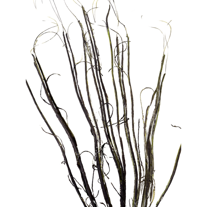 The 40 Green Wrapped Twig Spray MT25620 features green, curling dried branches and twigs arranged in a striking cluster against a white background.