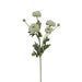 The 26 Cream Ranunculus Spray 84072-Cr has multiple cream flowers and buds with layered petals and green leaves, set against a white background.