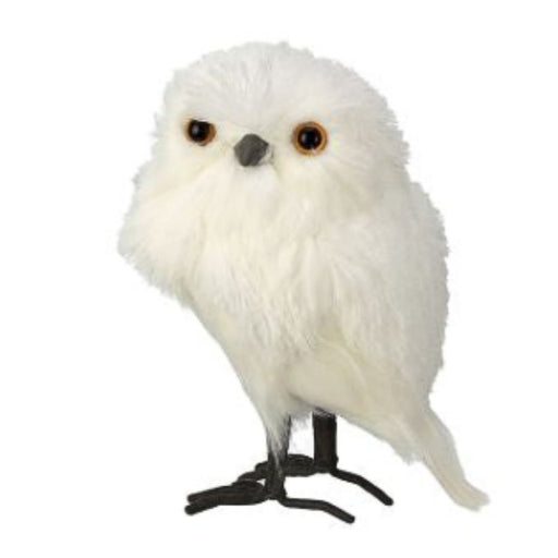 white feathered owl