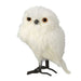 white feathered owl