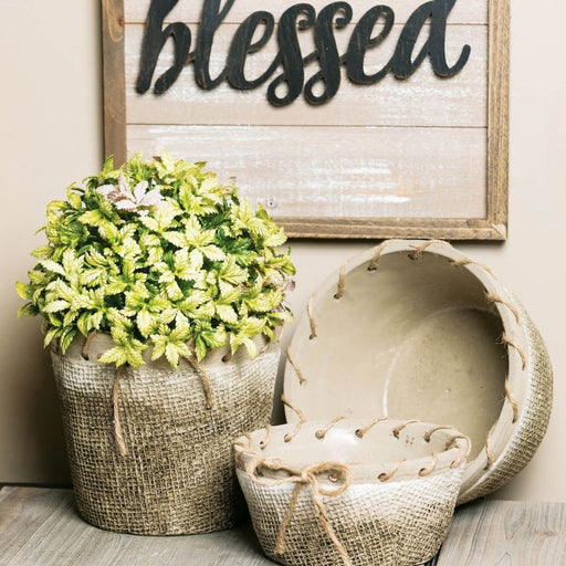 A set of three rustic pots includes one filled with green lavender and another with variegated plants. They are wrapped in textured fabric and twine, displayed on a wooden surface with a blessed wooden sign adding charm. These complement the Mini Tea Leaf Half Orb 02115orb.