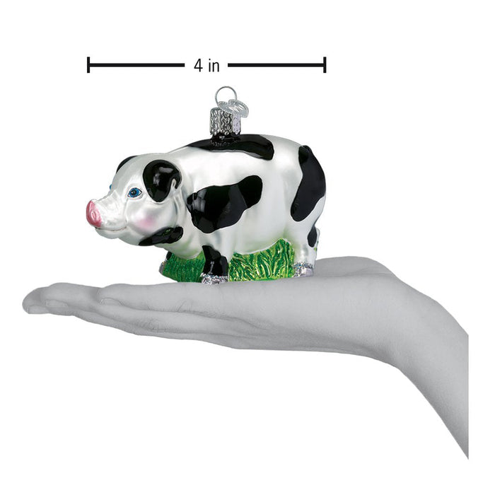 Big Pig 12121 Old World Christmas Ornament Assorted
