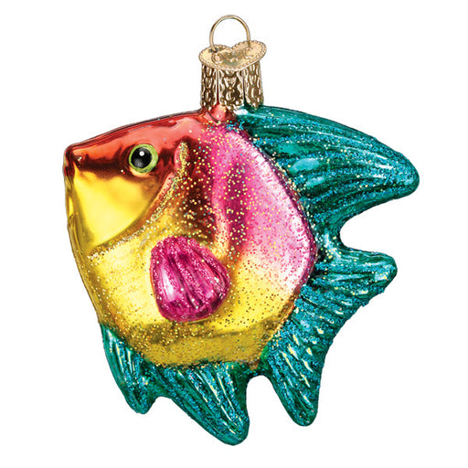 Introducing the Pink and Yellow Tropical Angelfish Ornament from Old World Christmas (product code: 12624). This delightful decoration boasts vibrant blue fins, a shimmering golden face, and a stunning pink and gold body, all adorned with glitter. Equipped with a golden hook for easy hanging, it's an ideal choice to add a touch of wonder to your holiday decor.