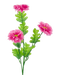 A 23 branch with 3 stems of vibrant pink flowers resembling a Pink Gerber Spray 29422Bt, featuring layered, fringed petals. The flowers are set against a plain background and are complemented by elongated, jagged-edged leaves.