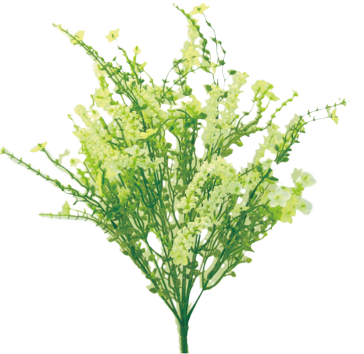 An 18 Cream Babys Breath Filler Bush with 12 slender stems and small pale green and yellow blooms, arranged on a bushy bouquet against a white background.