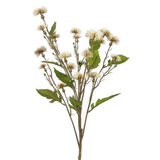 The 28 Sweet Daisy Spray Beige 56663BE features 7 stems with fluffy, beige dandelion-like seed heads and green serrated leaves, beautifully arranged against a white background.
