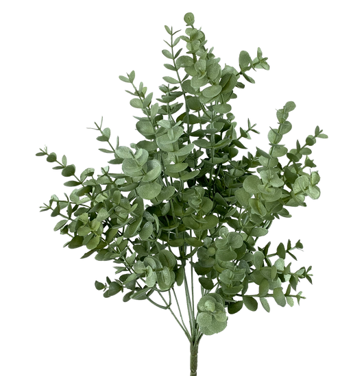 A 20 Light Green Eucalyptus Bush With Nine Stems (56807Ltgn) displays rounded green foliage on multiple stems, set against a plain black background.