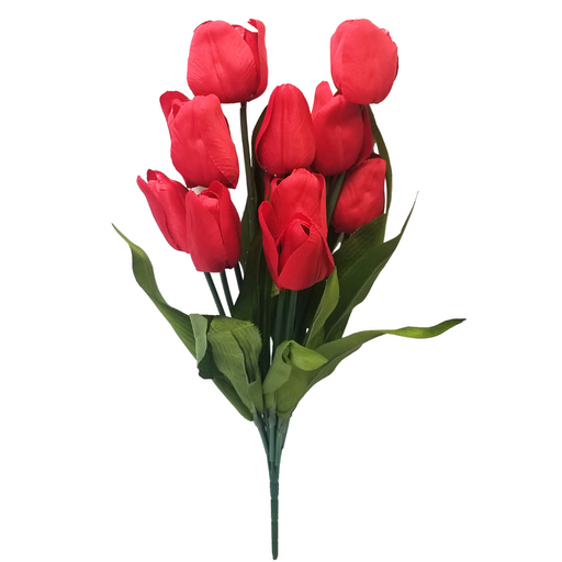 The 20 Red Tulip Bush 61386RD, featuring a vibrant bouquet of 12 red tulips with lush green leaves, offers a striking contrast. The smooth petals and narrow leaves create a vivid display against the pristine white background.