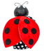 The 2 by 7 by 7 Red and Black Ladybug Ornament (62489RDBK) features a plush design with a black head, two antennae, large spotted red and black wings, and a black body with white polka dots. Shown on a plain white background.