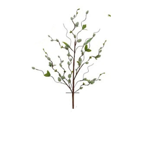 The 31 Pussy Willow Spray 62635 features twisting stems with small green leaves and unopened buds against a plain white background.