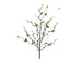 The 31 Pussy Willow Spray 62635 features twisting stems with small green leaves and unopened buds against a plain white background.