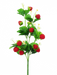 The 24 Strawberry Spray (model 62693SP24) vividly showcases bright red strawberries and small white flowers on an artificial branch with lush green leaves, all set against a plain white background for a vibrant decorative touch.