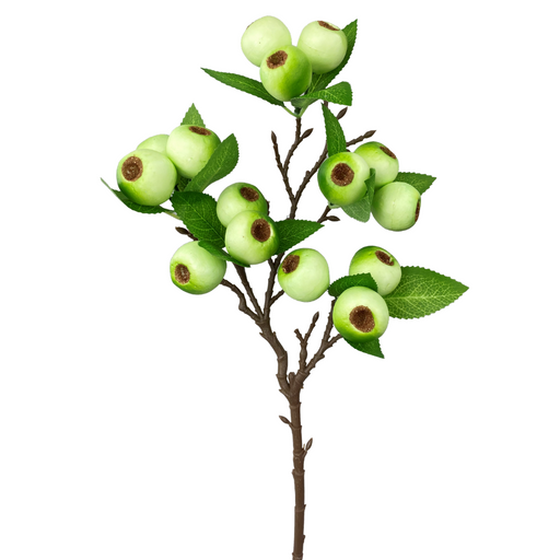 A 23 branch with round green fruits and bright green leaves, arranged neatly on a white background, resembling the vibrant 62945Gn Green Berry Spray.