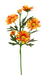 A vibrant depiction of a 21 Orange Daisy Spray (Product 63318OR), featuring six stems amid yellow blooms and greenery, set against a multicolored abstract background with splashes of green, purple, and blue.